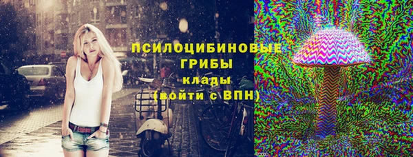 наркотики Бородино