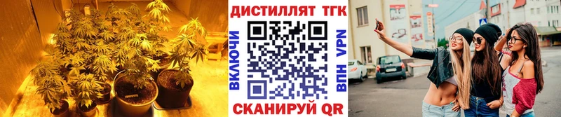 ТГК гашишное масло  Купить где  Новодвинск 