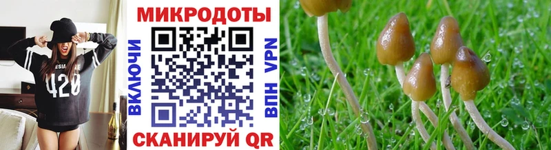 Псилоцибиновые грибы MAGIC MUSHROOMS Купить Новодвинск